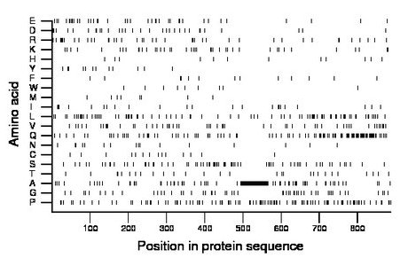 amino acid map