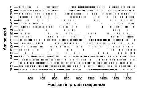 amino acid map