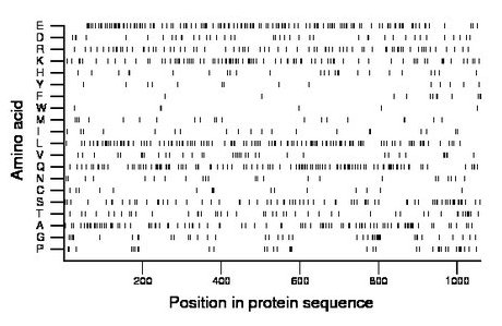 amino acid map