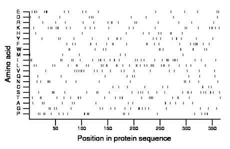 amino acid map