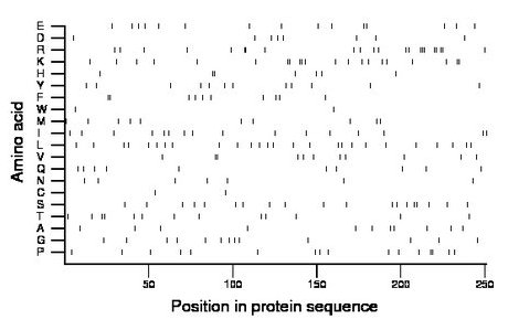 amino acid map