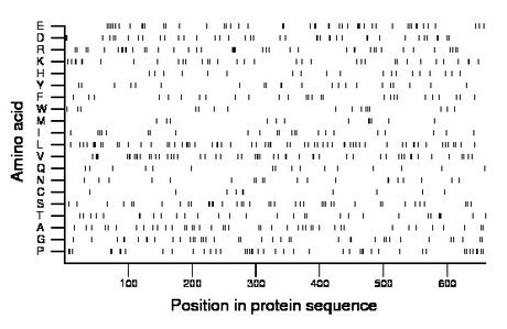 amino acid map