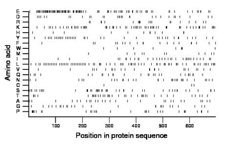 amino acid map