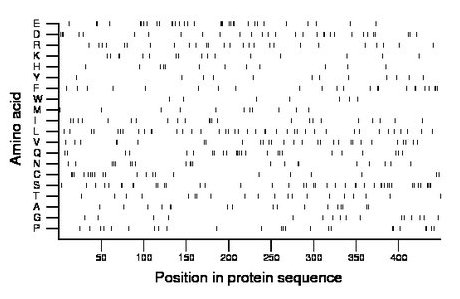 amino acid map