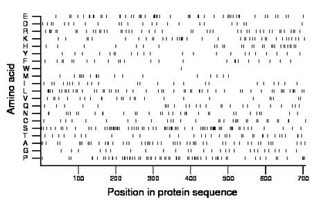 amino acid map