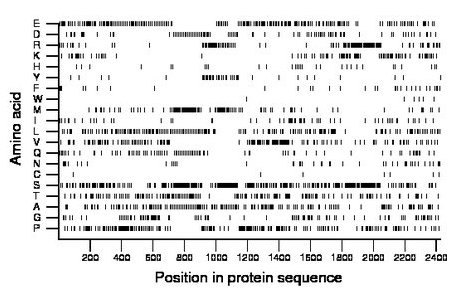 amino acid map