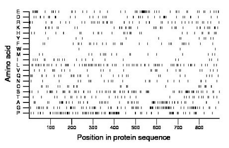 amino acid map