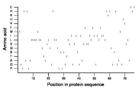 amino acid map