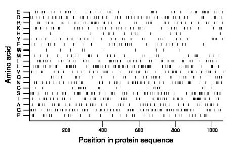 amino acid map