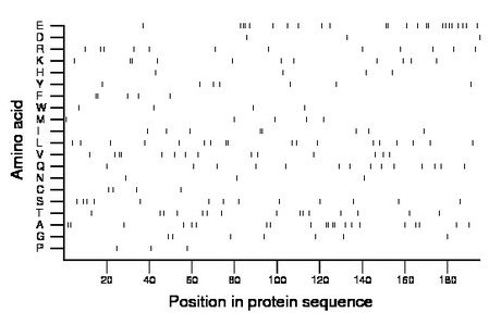 amino acid map