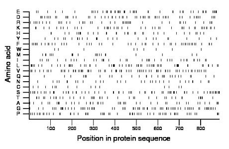 amino acid map