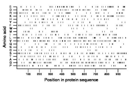 amino acid map