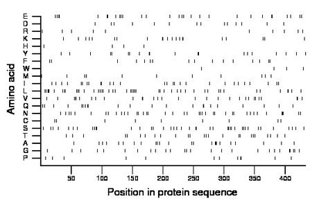 amino acid map