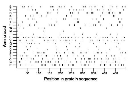 amino acid map