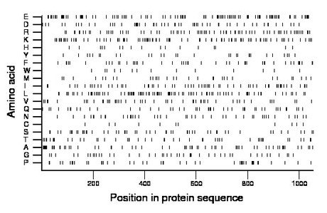 amino acid map