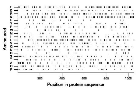 amino acid map