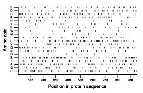 amino acid map