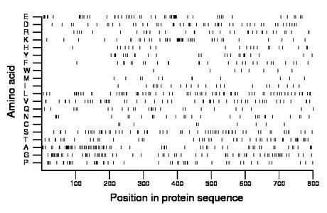 amino acid map