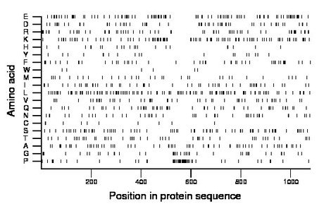 amino acid map