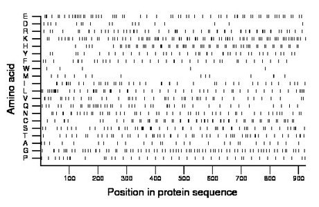 amino acid map