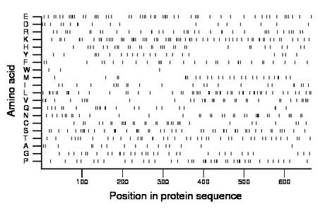 amino acid map