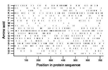 amino acid map