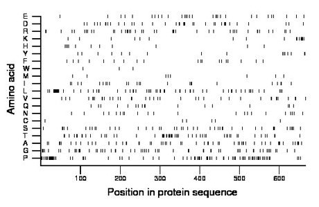 amino acid map