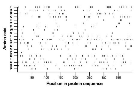 amino acid map