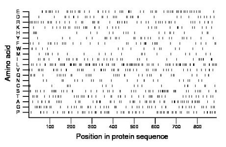 amino acid map