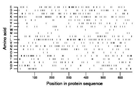 amino acid map