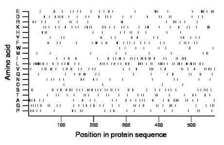 amino acid map