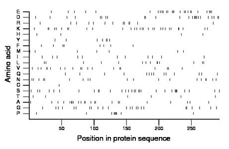 amino acid map