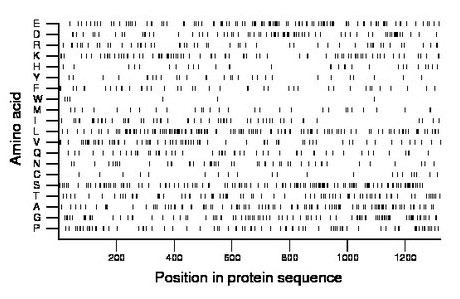 amino acid map