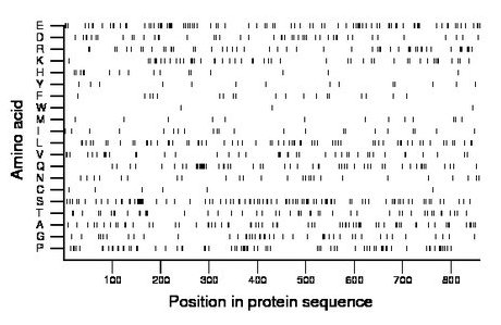 amino acid map