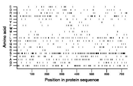 amino acid map