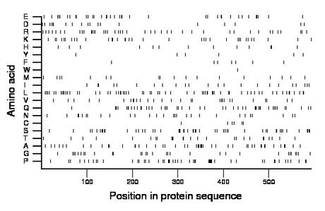 amino acid map