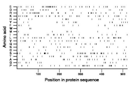 amino acid map