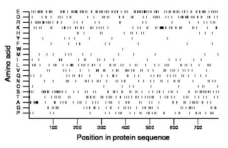 amino acid map