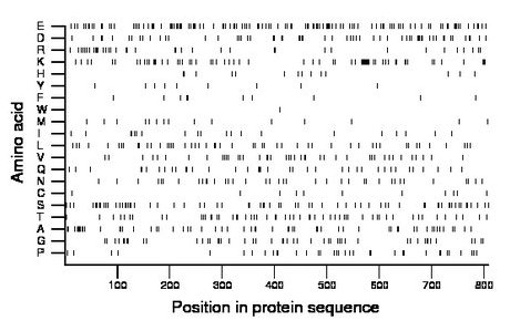 amino acid map