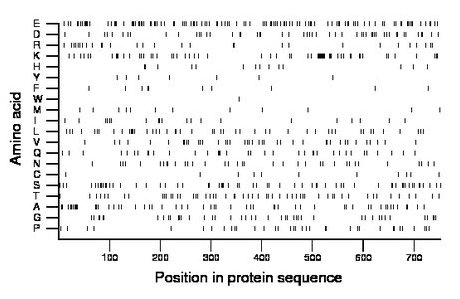 amino acid map