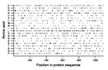 amino acid map