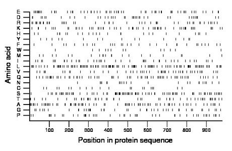 amino acid map