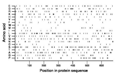 amino acid map