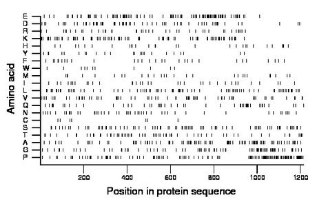 amino acid map