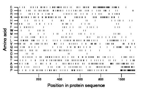 amino acid map