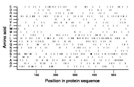 amino acid map