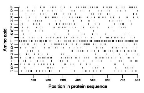 amino acid map