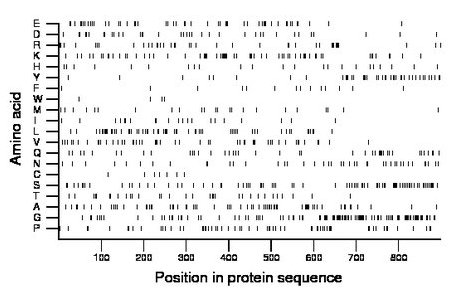 amino acid map