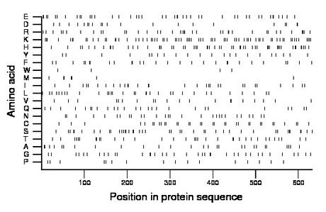 amino acid map