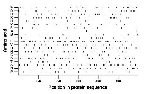 amino acid map